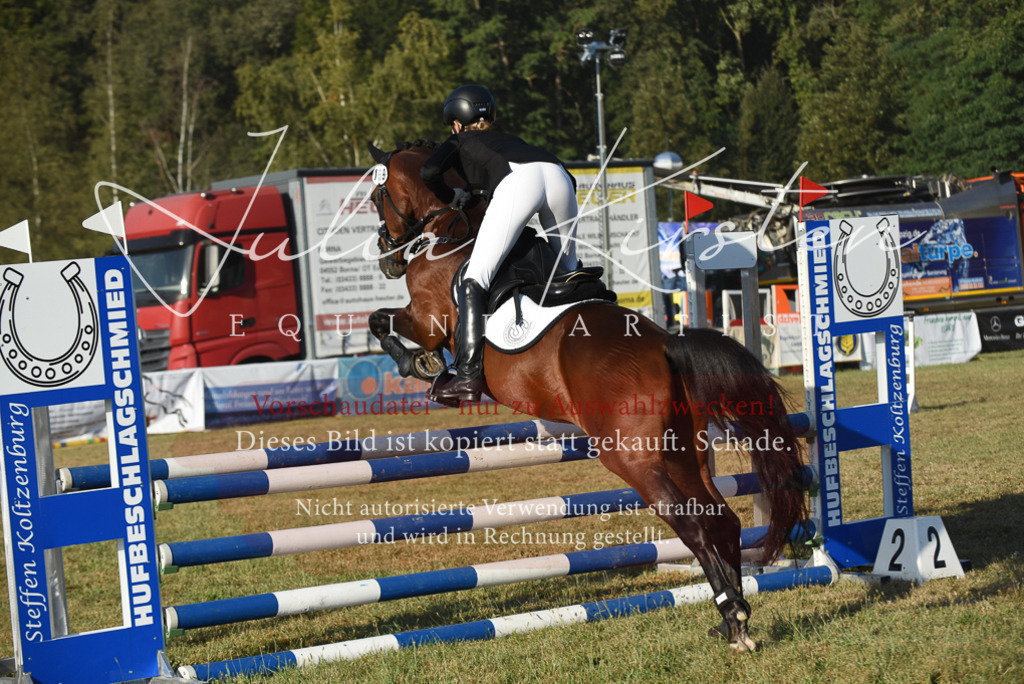 DSC_4926 | Pferde- und Turnierfotografie in Westsachsen. Pferdeportraits, Auftragszeichnungen und intuitive Kunst.