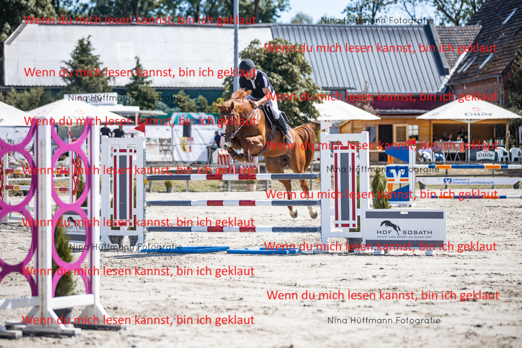 BK1A6378 | Turnierbilder Turnierfotos Nina Hüffmann Turnierfotografie Pferdefotografie Tierzeichnung Haustierzeichnung Pferdezeichnung Hundezeichnung Videograf  - Realisiert mit Pictrs.com
