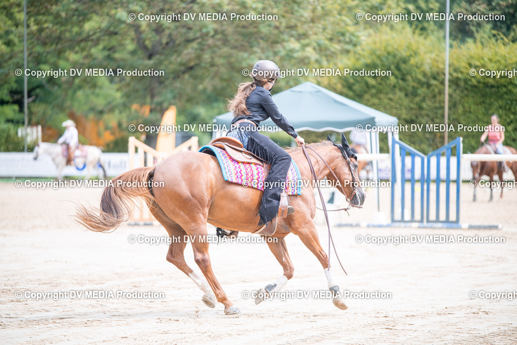 ZS3_5093 | dv-media-shop - Realisiert mit Pictrs.com