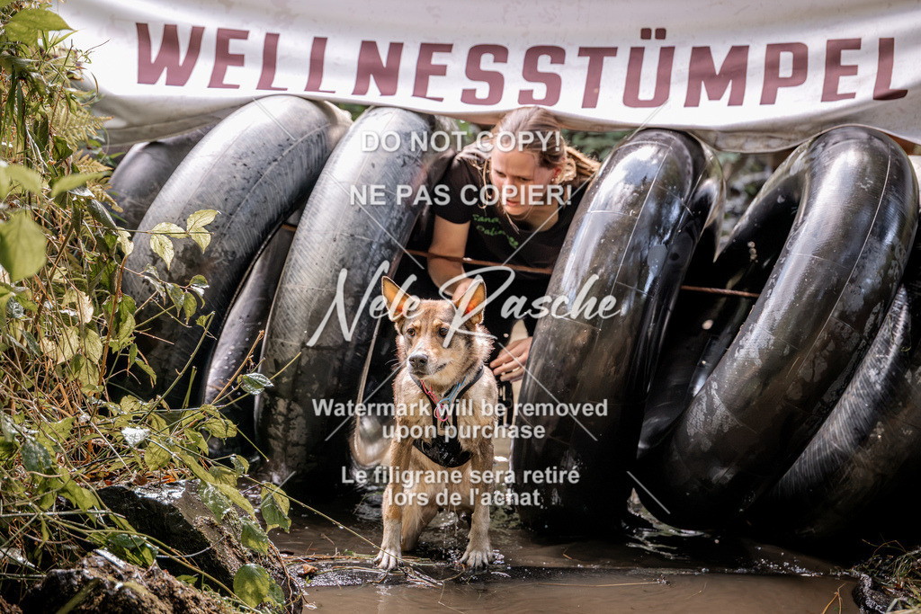 nelerasche_Hunsrück2026_Sa1400-1500_265 | nelerasche