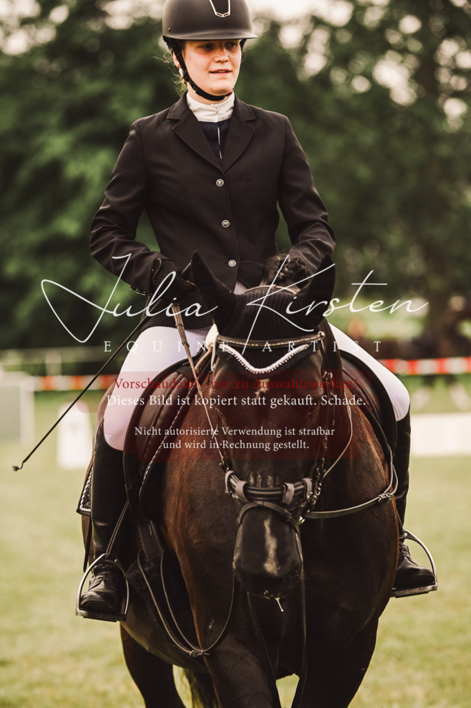 DSC_5143 | Pferde- und Turnierfotografie in Westsachsen. Pferdeportraits, Auftragszeichnungen und intuitive Kunst.