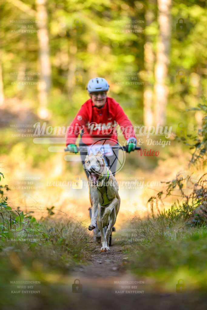 MompixPhotography_Yens2025_B3-132 | PayLife