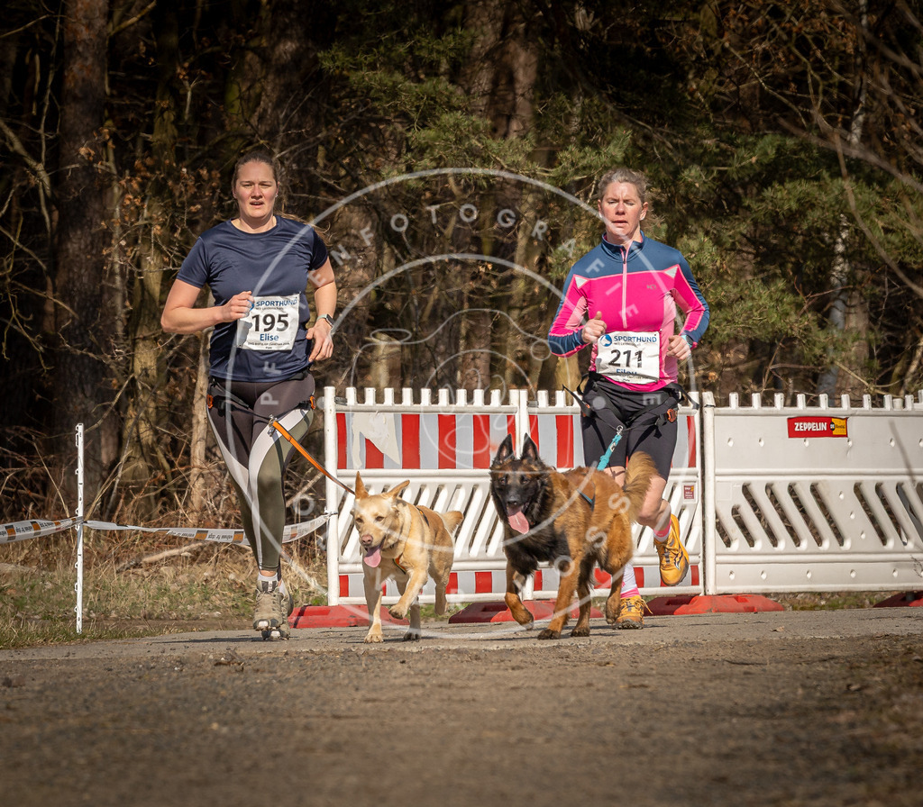 DV3A5765 | Hundefotografie, Tierfotograf, Pfotenfotografie, Fotoshooting Hund, Hunde Portrait, Hundesport, Hundeportraits, Heideshooting, Hunde, Sportfotograf, Hundefotograf, Turnierhundsport, THS,  - Realisiert mit Pictrs.com