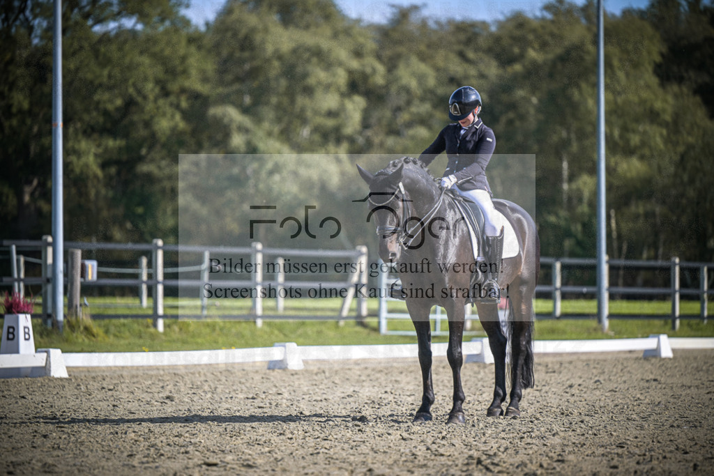 DOS_1434 | Entdecke hochwertige Reitturnierfotos von Foto Oger. Professionell, emotional und authentisch – jetzt Lieblingsmomente im Shop bestellen.Deutschlandweite Turnierfotografie. - Realisiert mit Pictrs.com