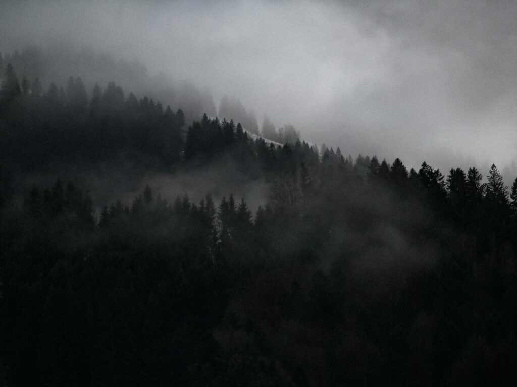 PSX_20221129_230033 | mtkfoto_ - Realisiert mit Pictrs.com