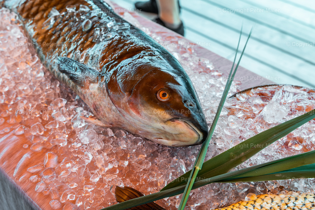Slow Food Weissensee edit-8 | piet_flosse