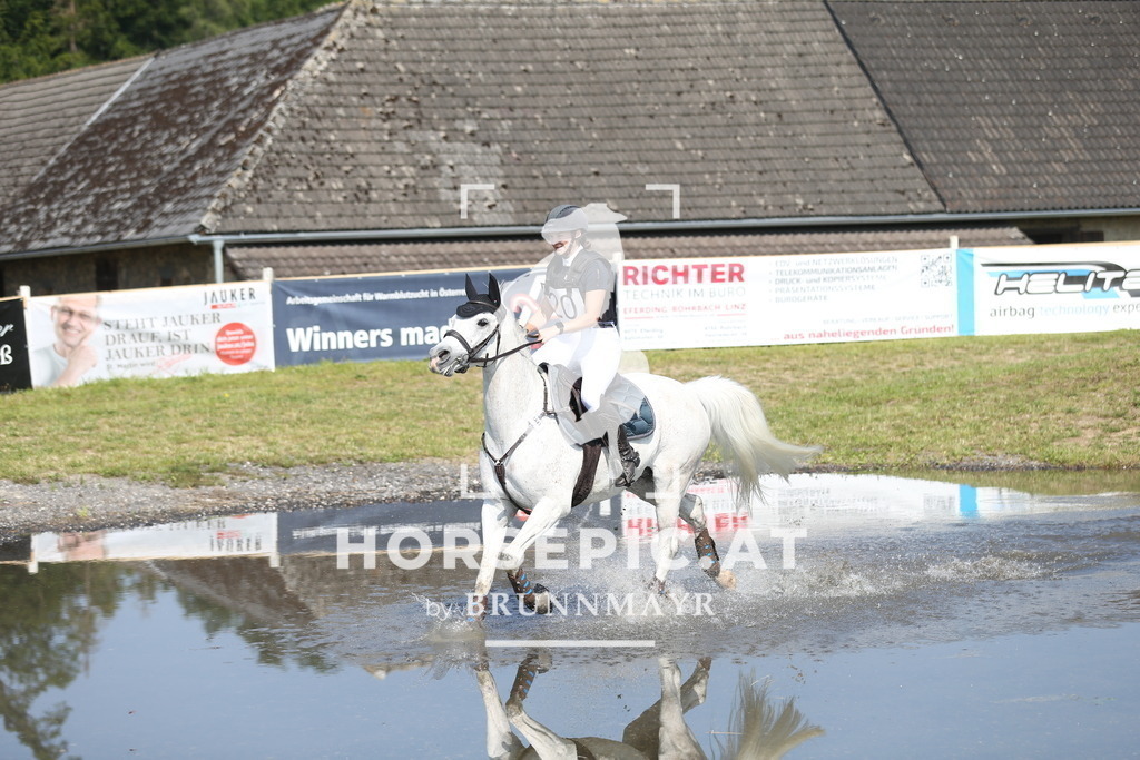 DL2Q1580 | Willkommen bei Brunnmayr - Design & Fotografie – Ihrem Spezialisten für Reitturniere und Pferdeveranstaltungen in Oberösterreich, Salzburg und Bayern! Seit über 17 Jahren sind wir leidenschaftlich dabei.