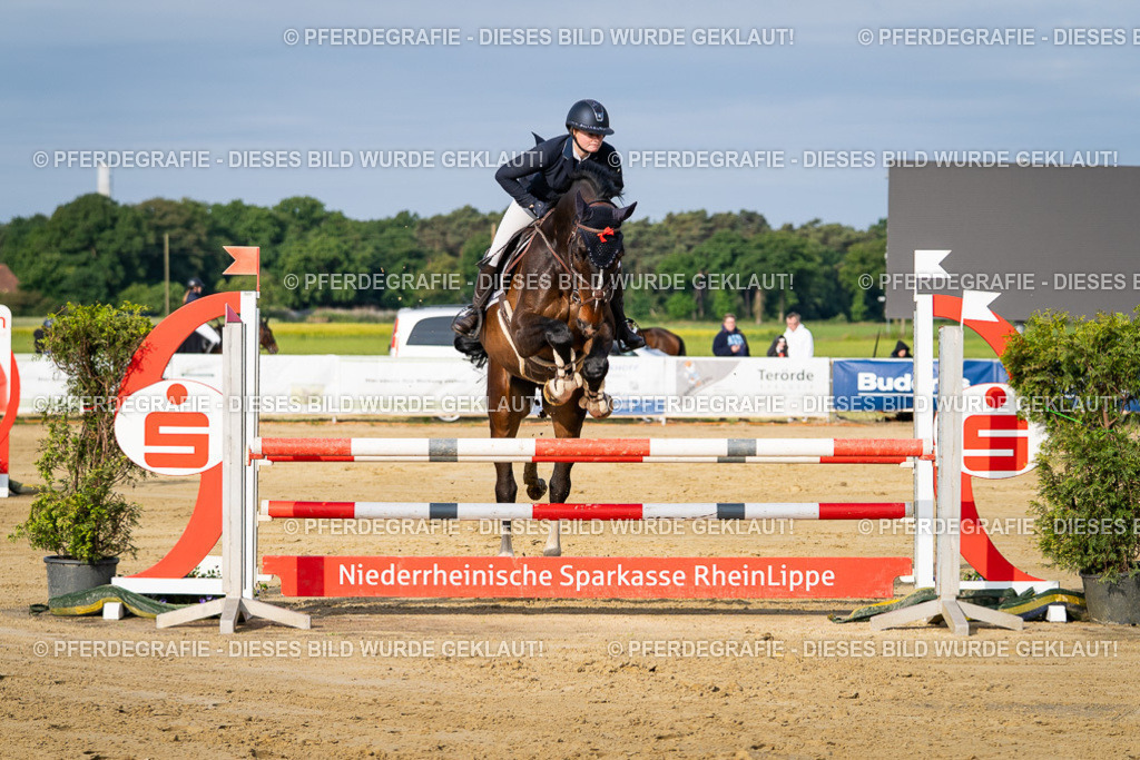 DSC02870 | Pferdegrafie