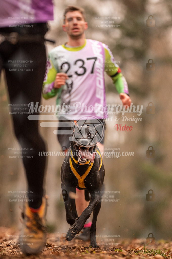 AKM_ST_2023_SAM_Run-74 | PayLife