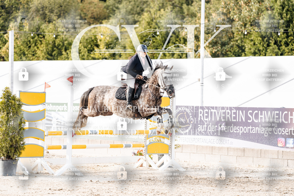 CK907012 | Turnierfotografie Pferdefotografie Trier Rheinland-Pfalz Pferdesport Reitsport Tierfotografie Sportfotografie Pferdevideo Pferdevideografie Equestrianvideography equestrianphotography  - Realisiert mit Pictrs.com