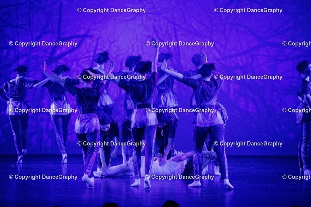 GPHY1680 | DanceGraphy - Realisiert mit Pictrs.com