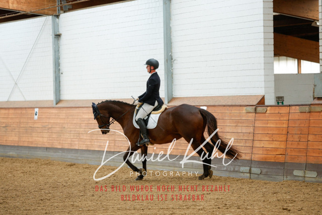 _62_6702 | Turniersportfotografie; Pferdefotografie; Dressurfotografie