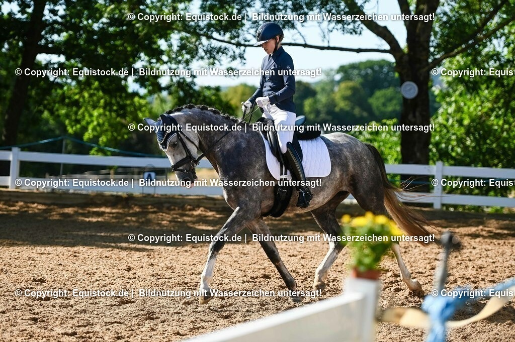 20230715_06_Dressurpferdeprfg. Kl.A_0310 | equistock