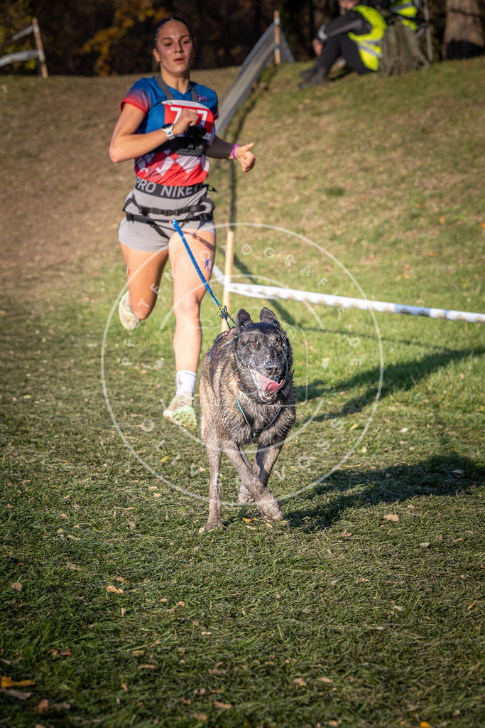 CaniXpix_0L8A9620 | Hundefotografie, Tierfotograf, Pfotenfotografie, Fotoshooting Hund, Hunde Portrait, Hundesport, Hundeportraits, Heideshooting, Hunde, Sportfotograf, Hundefotograf, Turnierhundsport, THS,  - Realisiert mit Pictrs.com