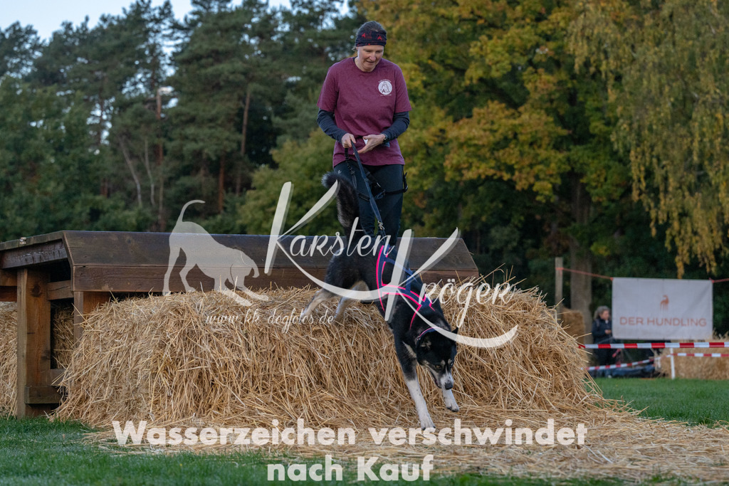 0826_ZZ90653 | kk-dogfotos