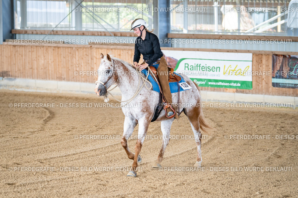 DSC01920 | Pferdegrafie