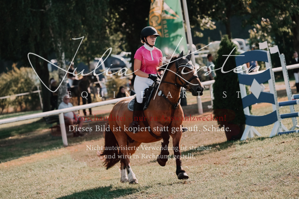 DSC_4577 | Pferde- und Turnierfotografie in Westsachsen. Pferdeportraits, Auftragszeichnungen und intuitive Kunst.