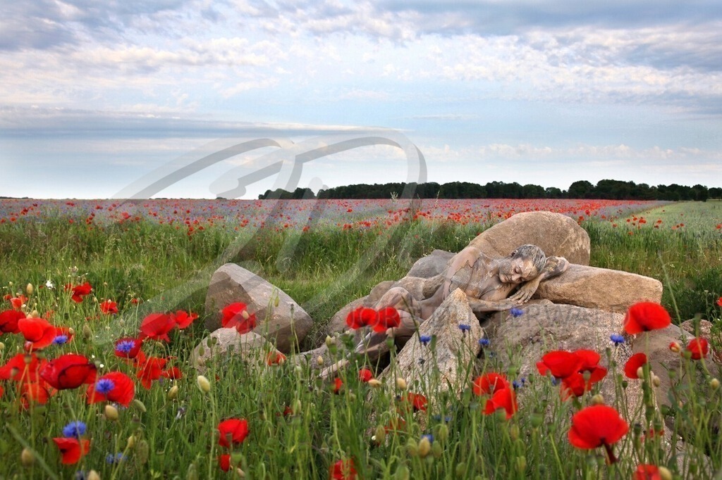 NatureArt-MOHNSTEINE_9806 | Blau und rot als Feldfarben | #007 | Modell: Lea | Foto: Sandra Diersche-Schwamm - Realisiert mit Pictrs.com