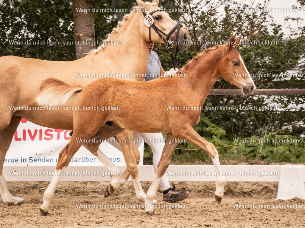 A10I2399 15.54.45 | photographylinaismer - Realisiert mit Pictrs.com
