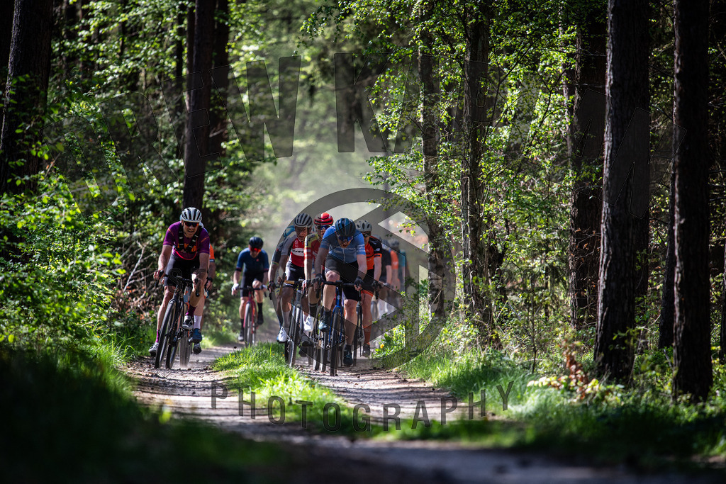 DKP-1955 | Drew Kaplan Photography