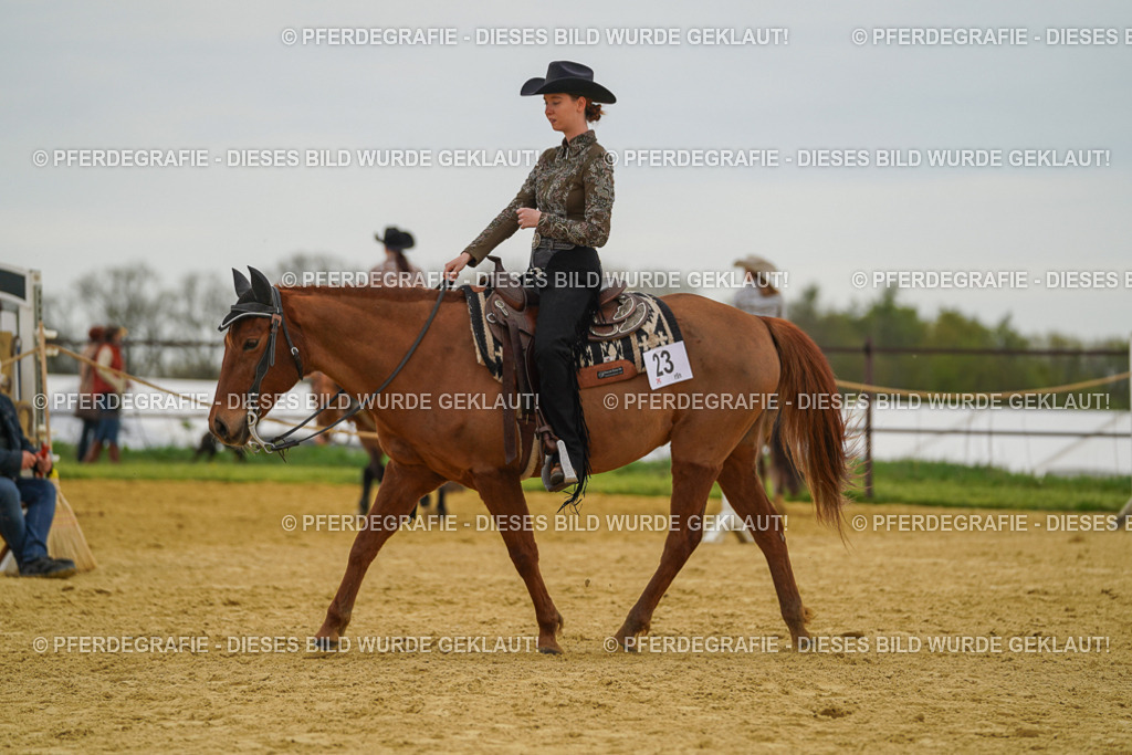 DSC02674 | Pferdegrafie