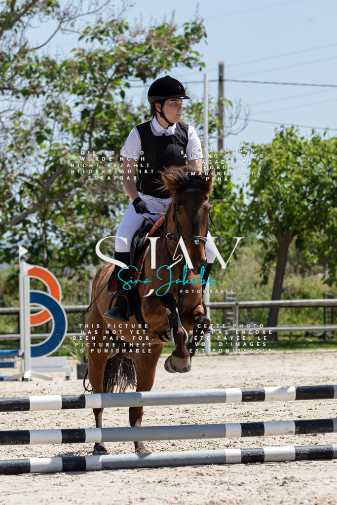 IMG_0290 | s-jay-photography - Realisiert mit Pictrs.com