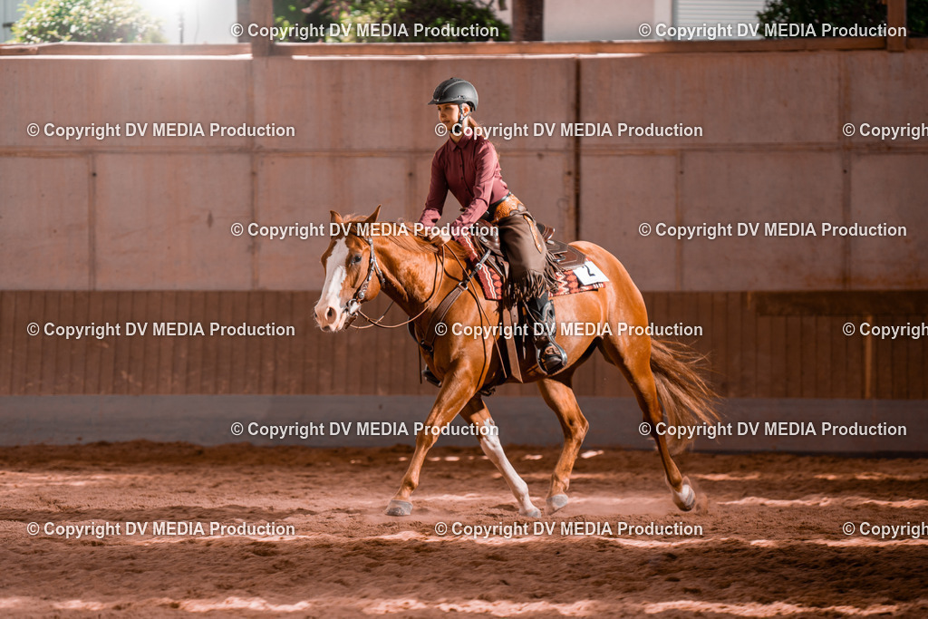 NE200739 | dv-media-shop - Realisiert mit Pictrs.com