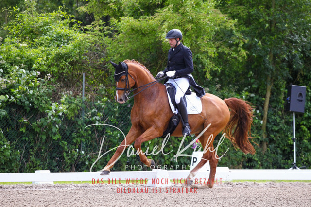 DKP41296 | Turnierfotos kaufen im Webshop von Daniel Kuhl Photography – entdecke professionelle Reitsportfotos aus Turnieren & Events. Hochwertige Turnierbilder online bestellen & sichern. Jetzt Fotos von Reitsportturnieren kaufen!