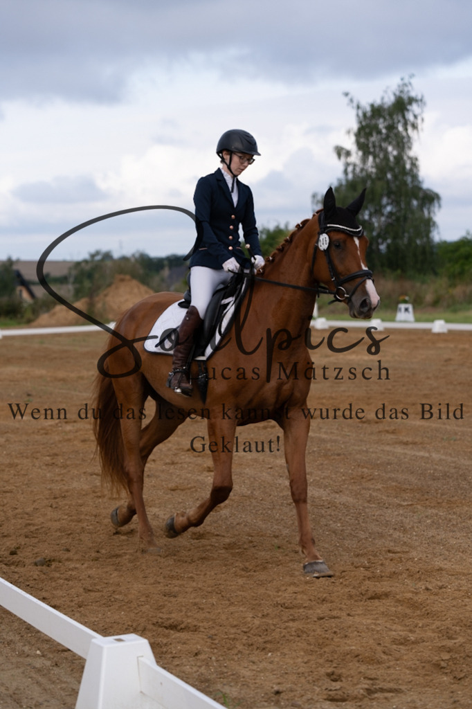 A7V03773 | Turnier/Reitfotograf
