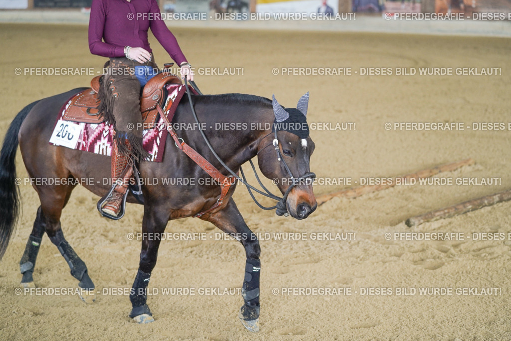 DSC03805 | Pferdegrafie