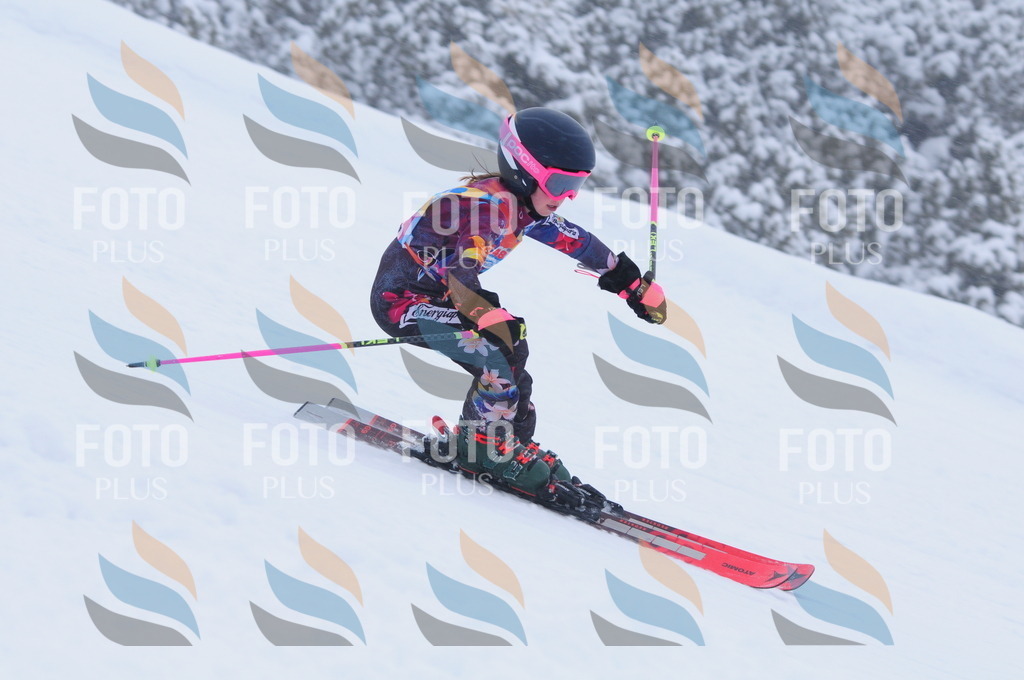 C1775 | holidayphoto