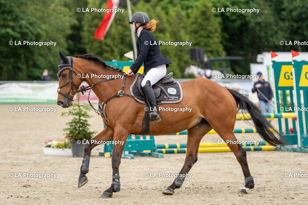 DSC07699 | Entdecke einzigartige Turnierfotos und persönliche Pferde- und Hundeportraits bei LA Photography. Für jeden Reiter und Pferd das perfekte Bild! Stöbere jetzt! - Realisiert mit Pictrs.com