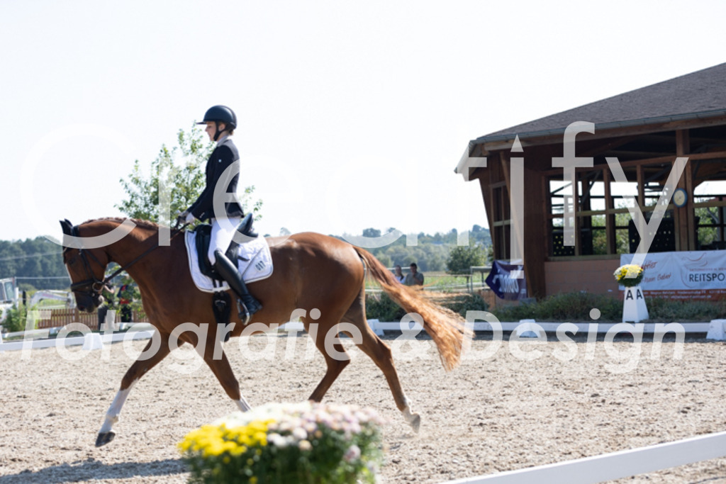 IMG_4351 | Creatify Fotografie