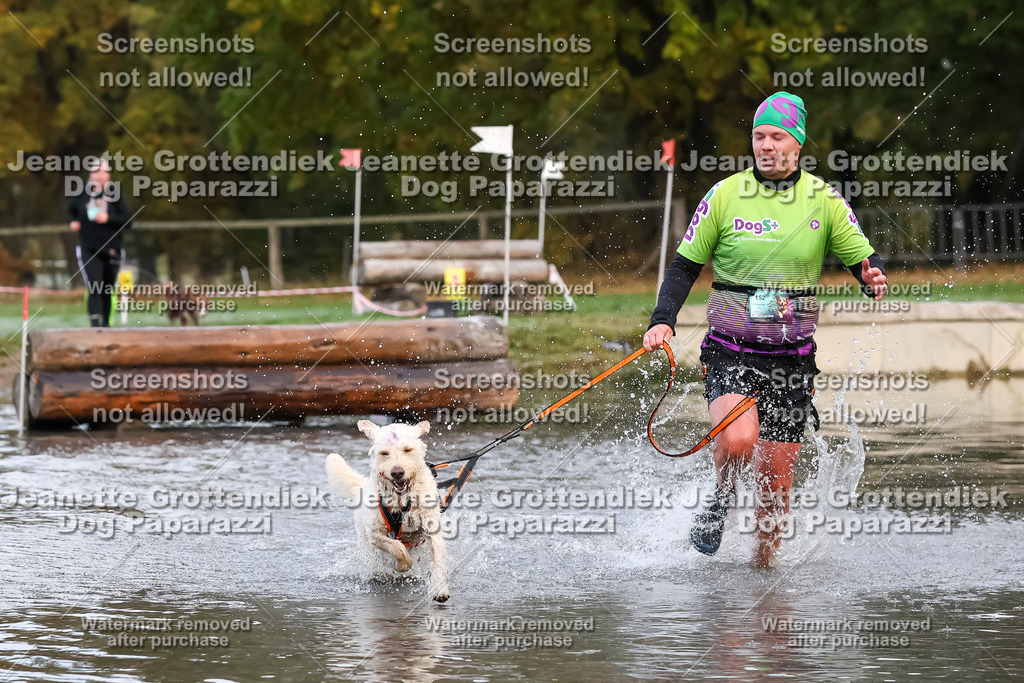 Dog Paparazzi - Strongdog 10-25-6291 | Dog Paparazzi Jeanette Grottendiek Fotografie & Videografie - Realisiert mit Pictrs.com