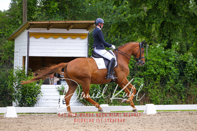 DKP41238 | Turnierfotos kaufen im Webshop von Daniel Kuhl Photography – entdecke professionelle Reitsportfotos aus Turnieren & Events. Hochwertige Turnierbilder online bestellen & sichern. Jetzt Fotos von Reitsportturnieren kaufen!