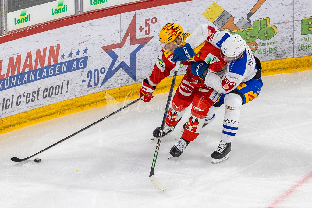 EHCB vs EVZ 20260227_WB-7279 | Sportbilder, Sportfotograf, Hochzeits- und Eventfotografin, Flugshows, Portraits und Tiershooting, Aviation, Downhill, Nationalleague, Swissleague, International