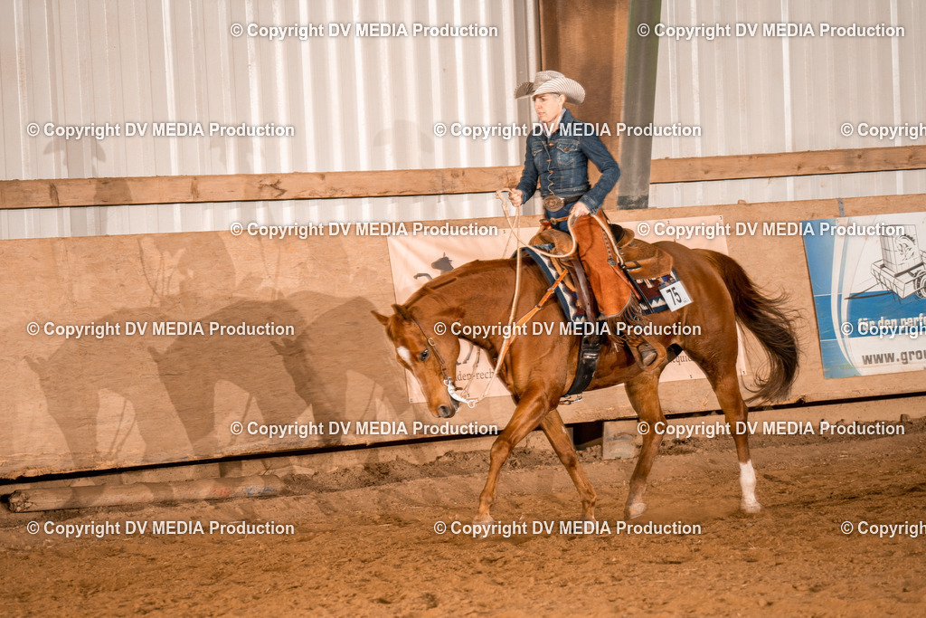 BAL03308 | dv-media-shop - Realisiert mit Pictrs.com