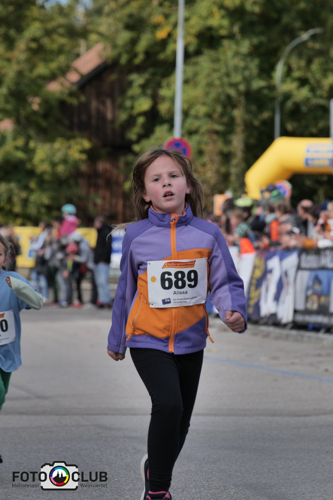 D (342) | Foto Buchgraber