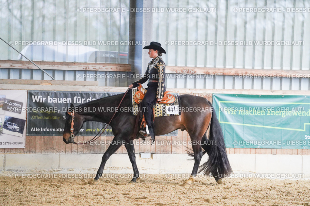 DSC08912 | Pferdegrafie