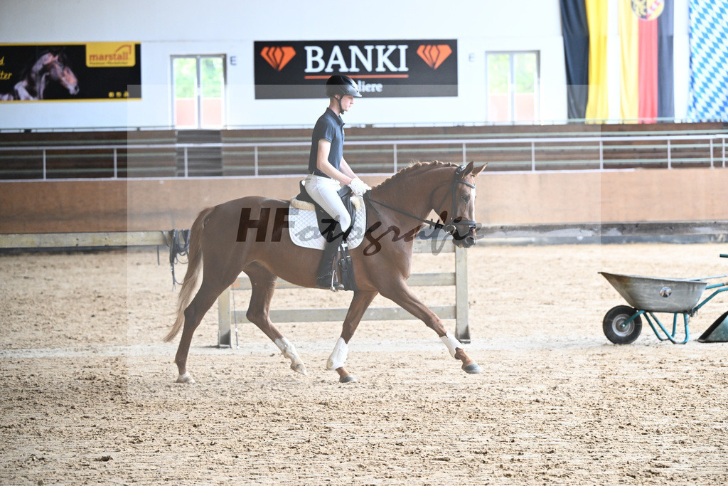 Kat-Nr. 4 Hailey v. Karim Dore_Nagel_31250084 | hf-fotografie - Realizzato con Pictrs.com