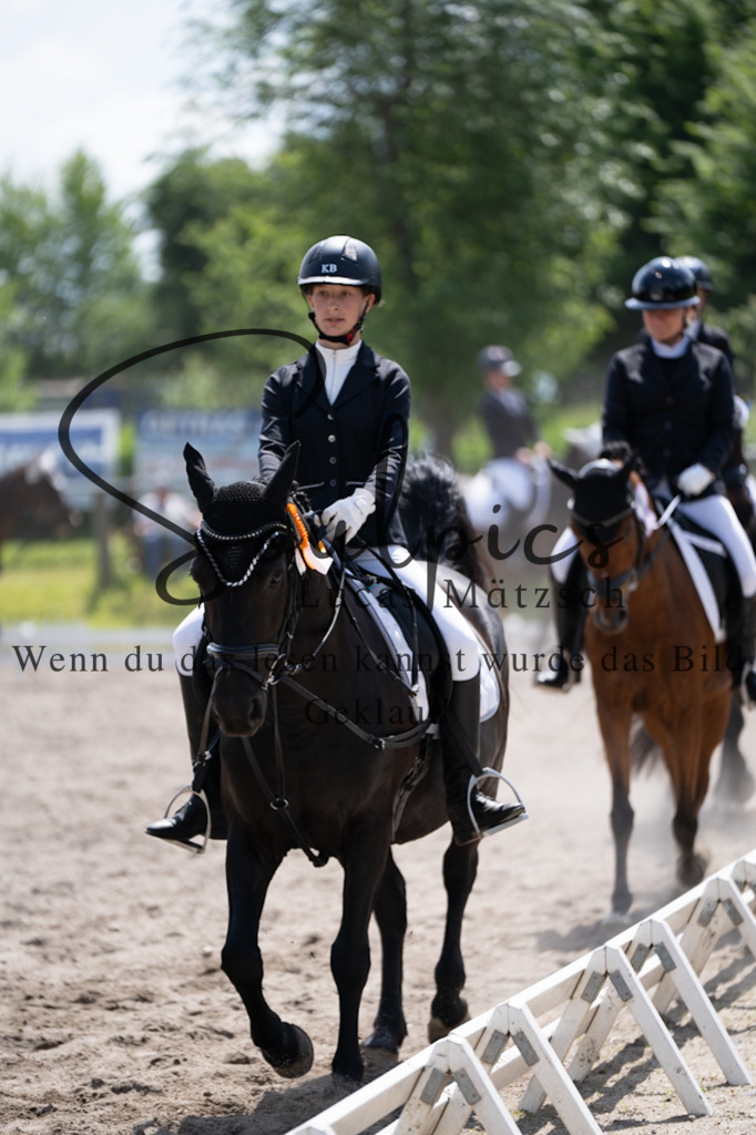 A7V02862 | Pferdefotograf