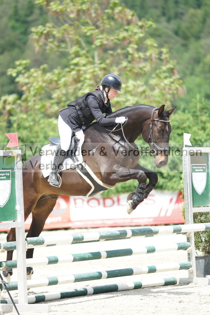 DSC06491 | equestrian-live-com