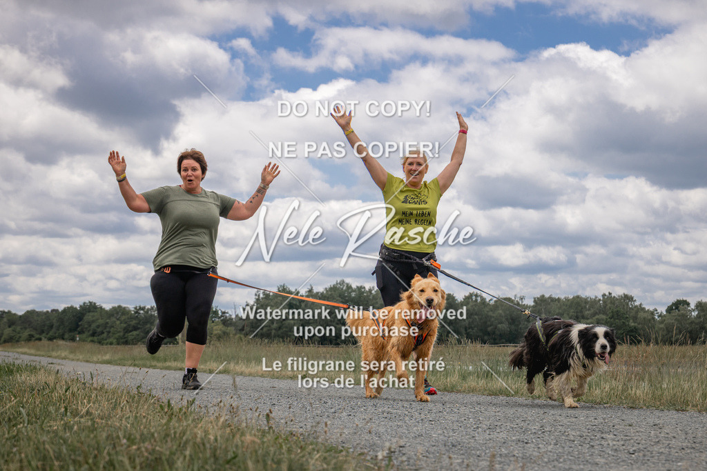 nelerasche_BuHu2026_SaCC1100-1200_258 | nelerasche