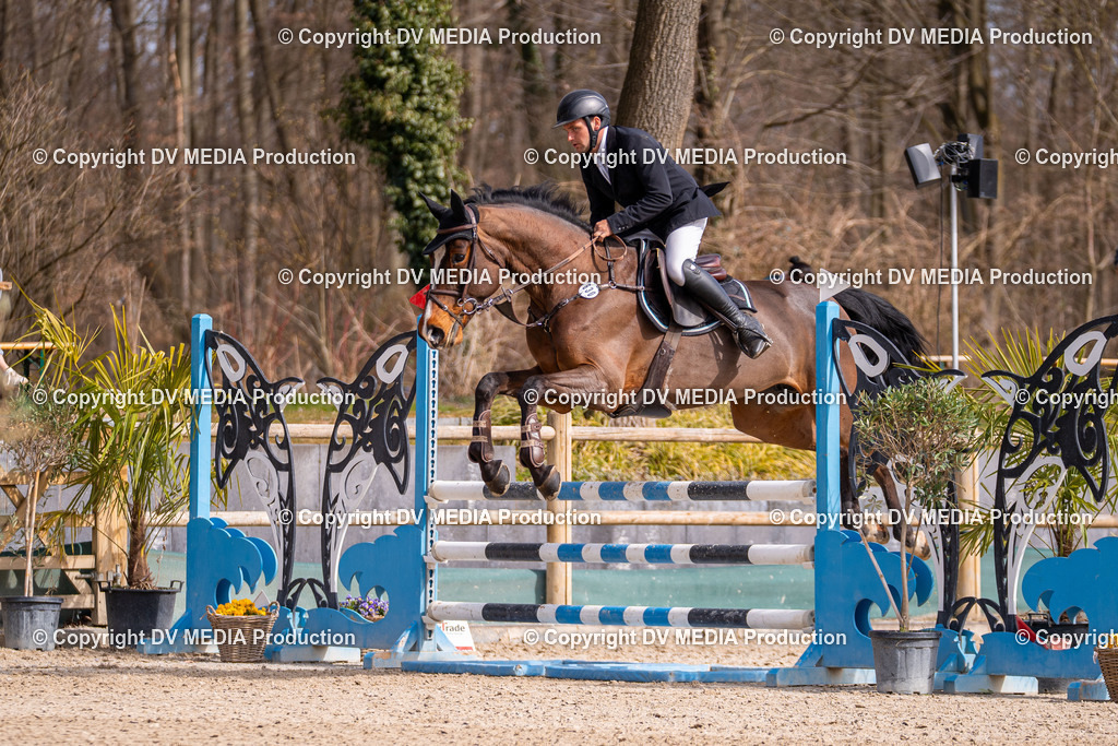 Kranichstein Tag 1-732 | dv-media-shop - Realisiert mit Pictrs.com