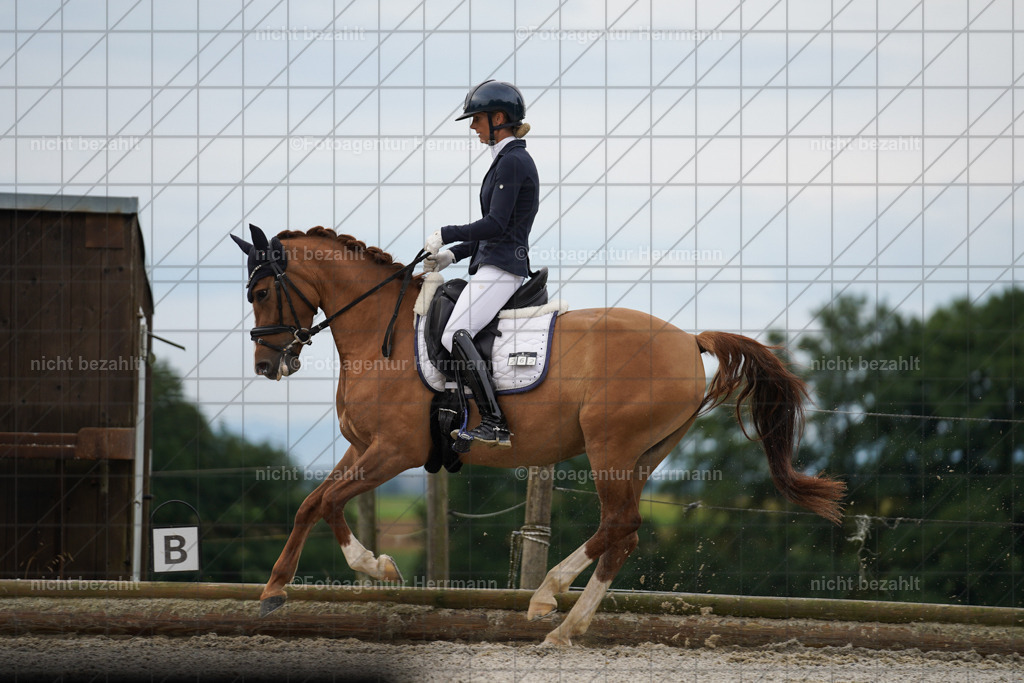 20230826-FAH04356 | Forstinning, 2023, Dressurturnier, Turniersportbilder, Turnierfotografen Bayern, Fotoagentur Herrmann, Reitsportfotografie, Turnierbilder