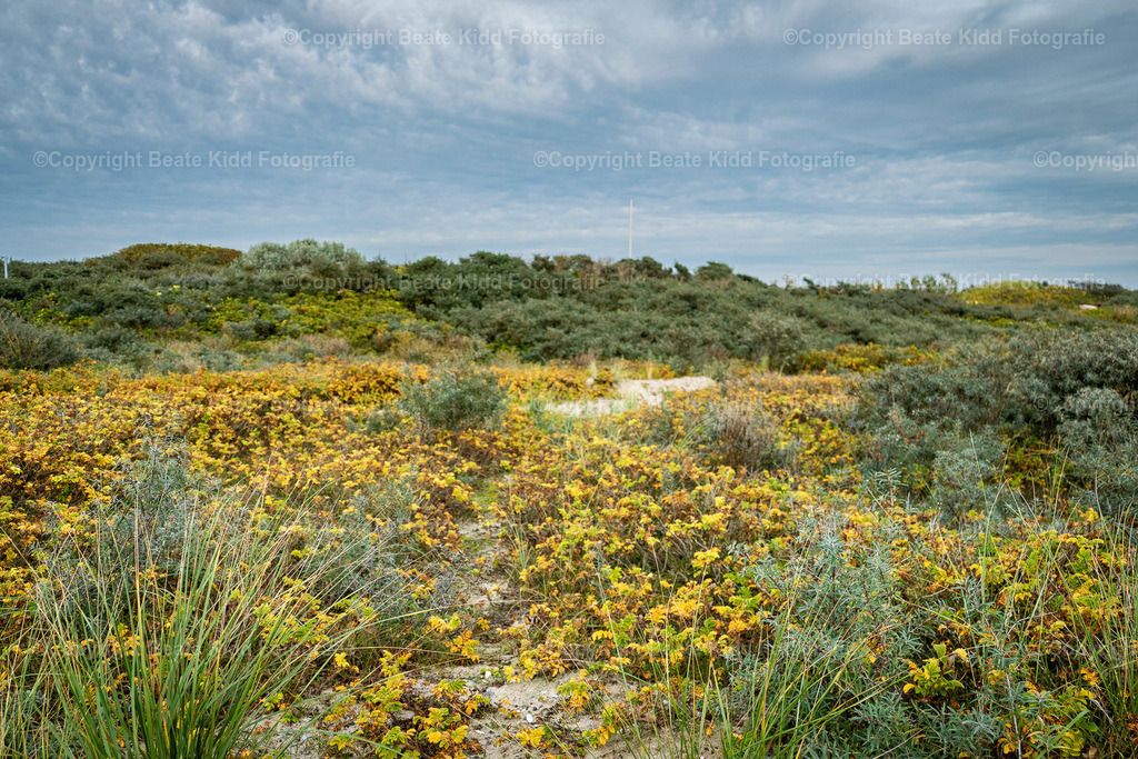 P1220356 | beatekidd-fotografie - Realisiert mit Pictrs.com