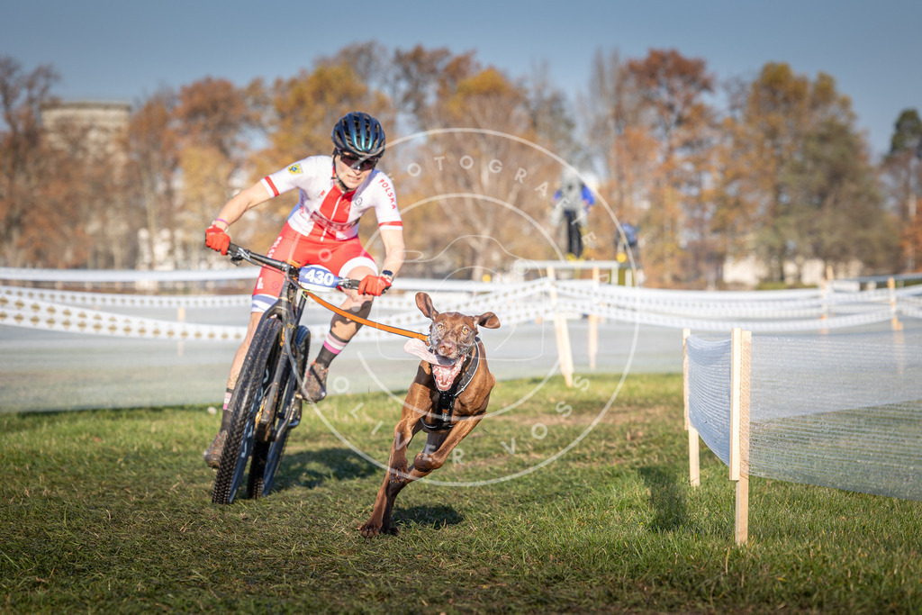 CaniXpix_0L8A4287 | Hundefotografie, Tierfotograf, Pfotenfotografie, Fotoshooting Hund, Hunde Portrait, Hundesport, Hundeportraits, Heideshooting, Hunde, Sportfotograf, Hundefotograf, Turnierhundsport, THS,  - Realisiert mit Pictrs.com