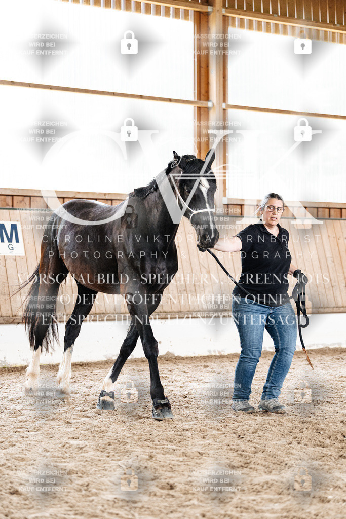 CK908029 | Turnierfotografie Pferdefotografie Trier Rheinland-Pfalz Pferdesport Reitsport Tierfotografie Sportfotografie Pferdevideo Pferdevideografie Equestrianvideography equestrianphotography  - Realized with Pictrs.com