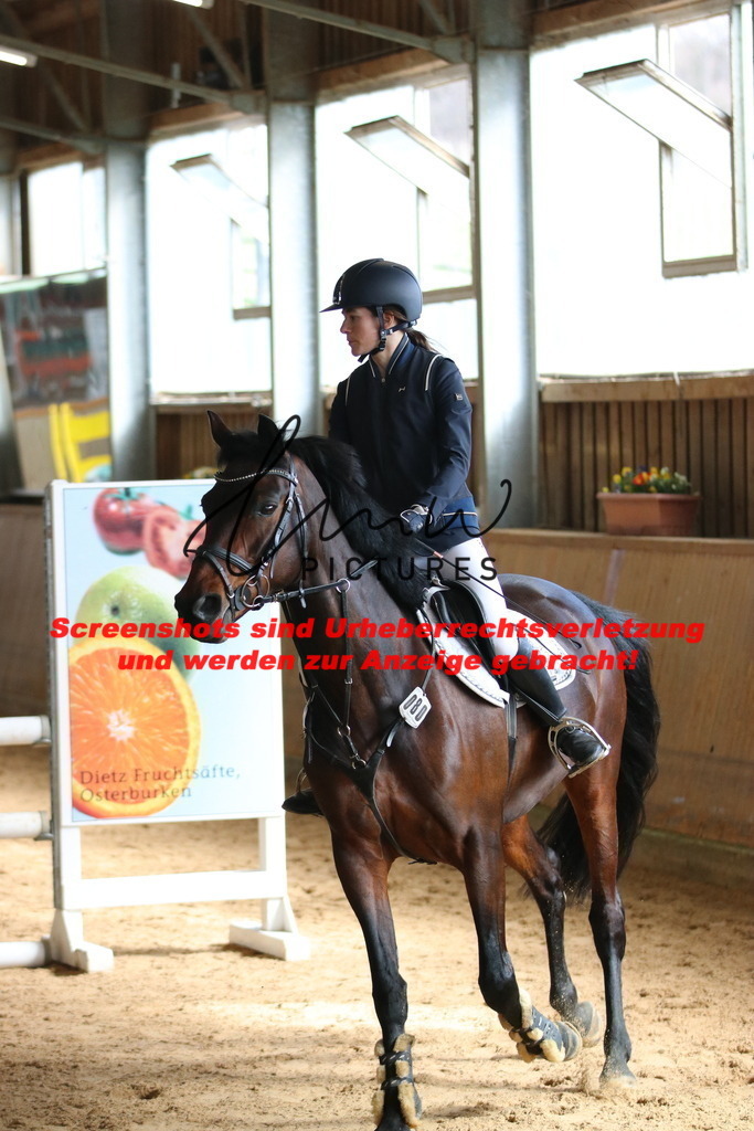 IMG_5546 | lmwpictures - Realisiert mit Pictrs.com