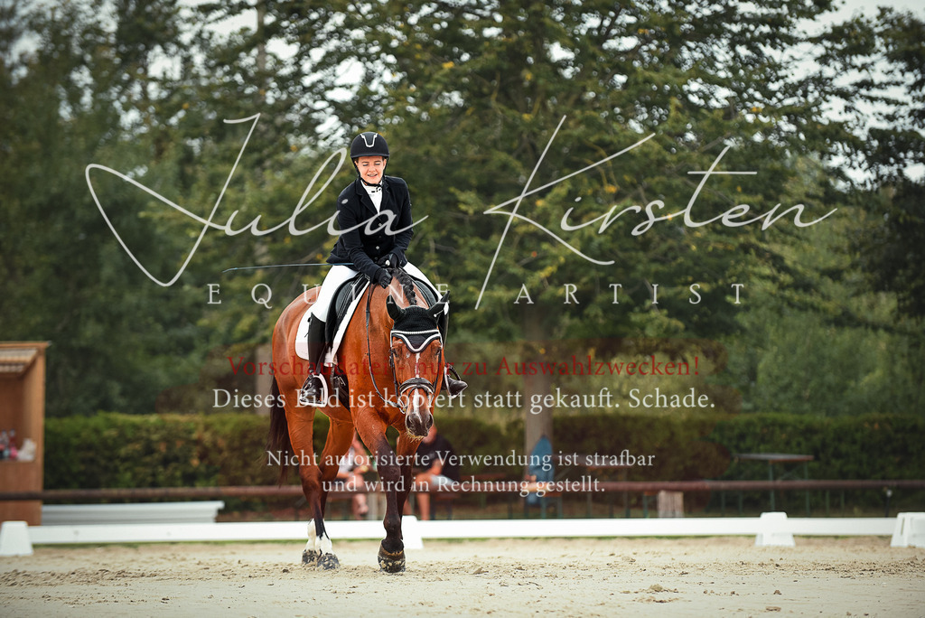 DSC_8102 | Pferde- und Turnierfotografie in Westsachsen. Pferdeportraits, Auftragszeichnungen und intuitive Kunst.